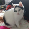 Benutzer Avatar